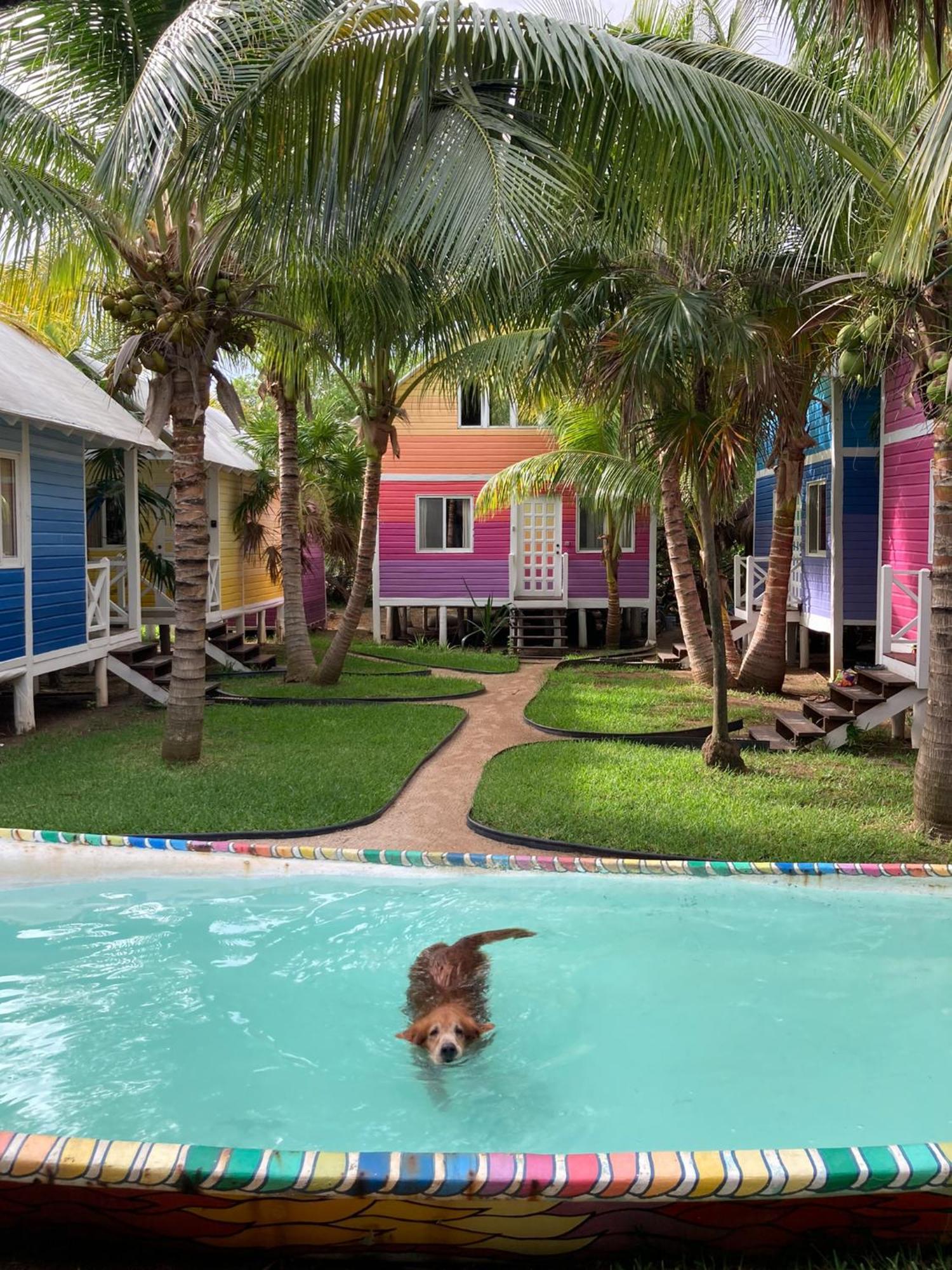 Whyknot Holbox Bed & Breakfast Exterior foto